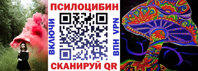 MEGA   Краснодар  Галлюциногенные грибы Cubensis 